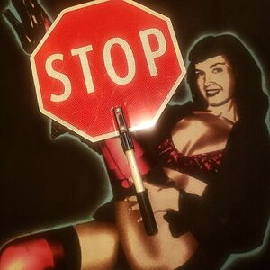 STOP/SLOW HANDHELD TRAFFIC FLAGGERS SIGN For Schools, Local, or Professional Use